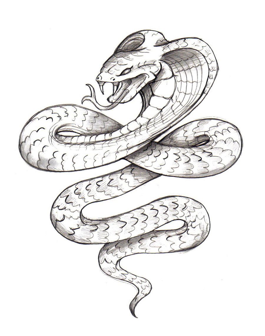 A coiled serpent